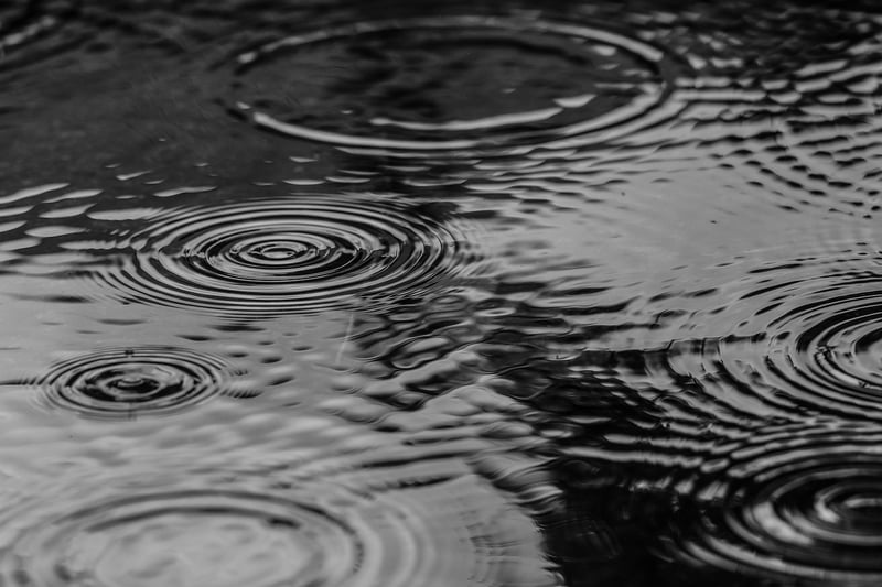 Waterproof Jacket